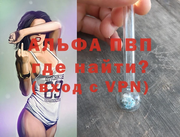 стаф Сатка