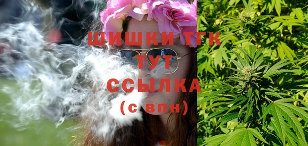стаф Сатка