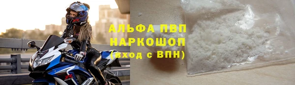 стаф Сатка
