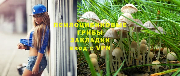 сатива Сафоново