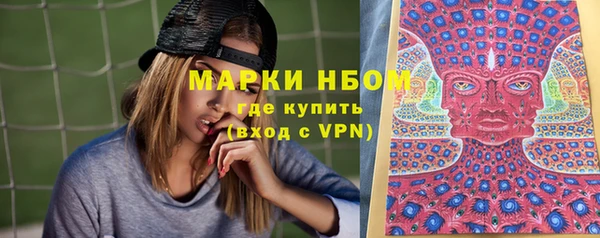 стаф Сатка