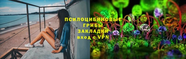 стаф Сатка