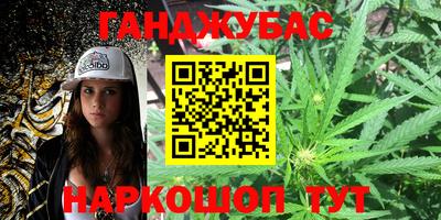 гашик Нальчик