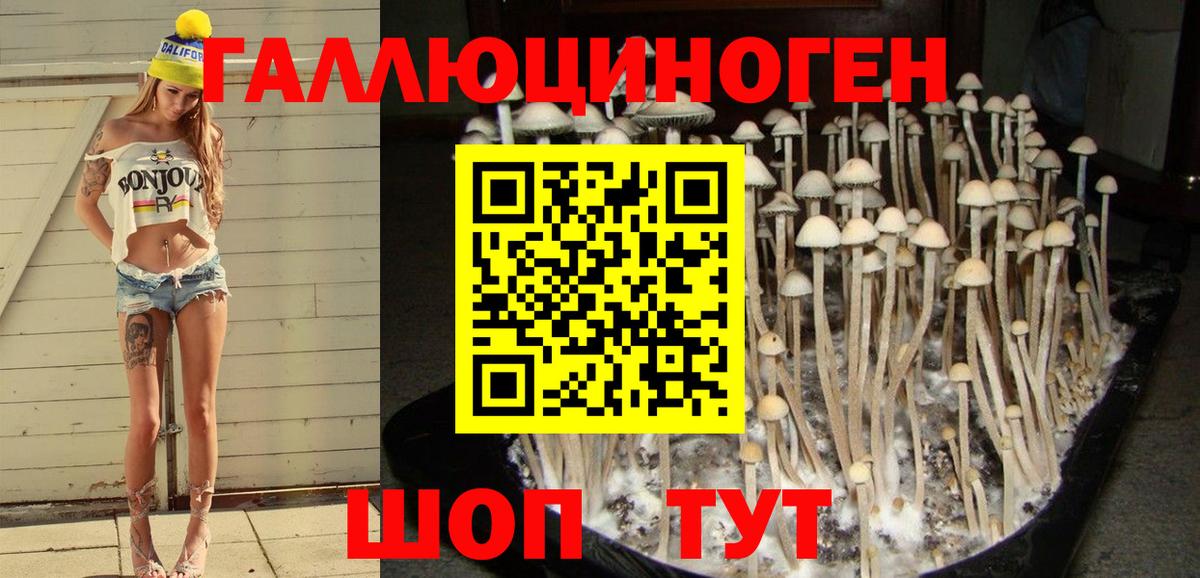 Псилоцибиновые грибы Magic Shrooms  Псилоцибиновые грибы Cubensis  Чебаркуль  Вход с VPN 