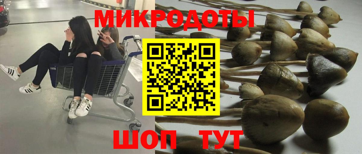 Псилоцибиновые грибы Cubensis Чебаркуль